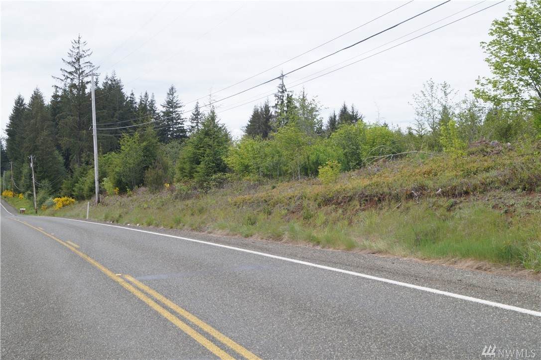 85 Hoquiam Wishkah Rd - Photo 1