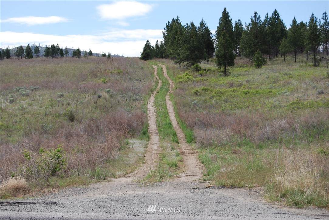 2 Hwy 155 - Photo 1