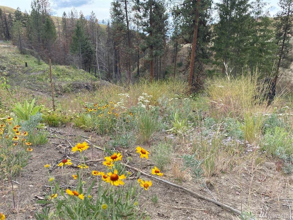276 Chelan Hills Acres Road - Photo 1