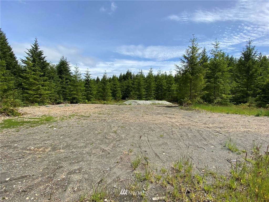 127 Old Coyle Road - Photo 1