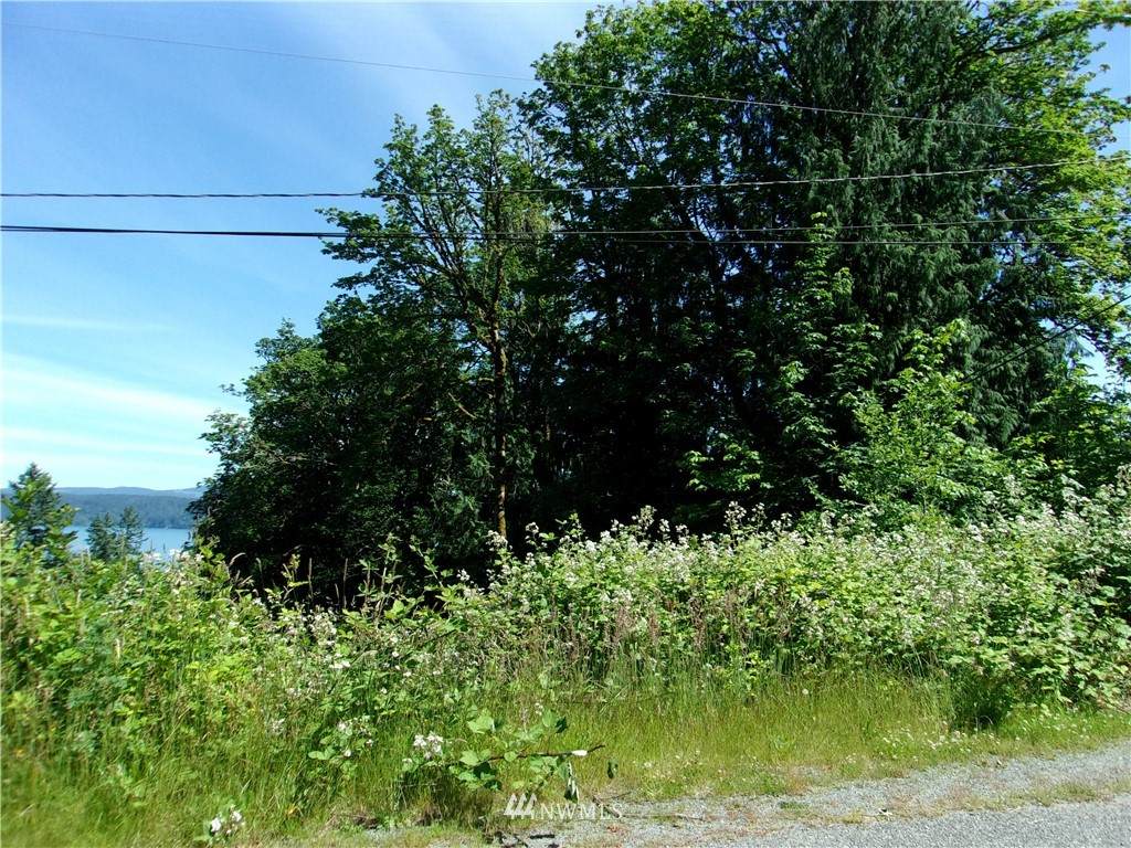 0 Lot 12 Cedar Court - Photo 1
