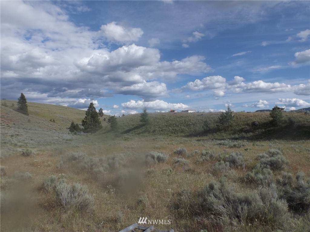 0 Cayuse Mountain Road - Photo 1