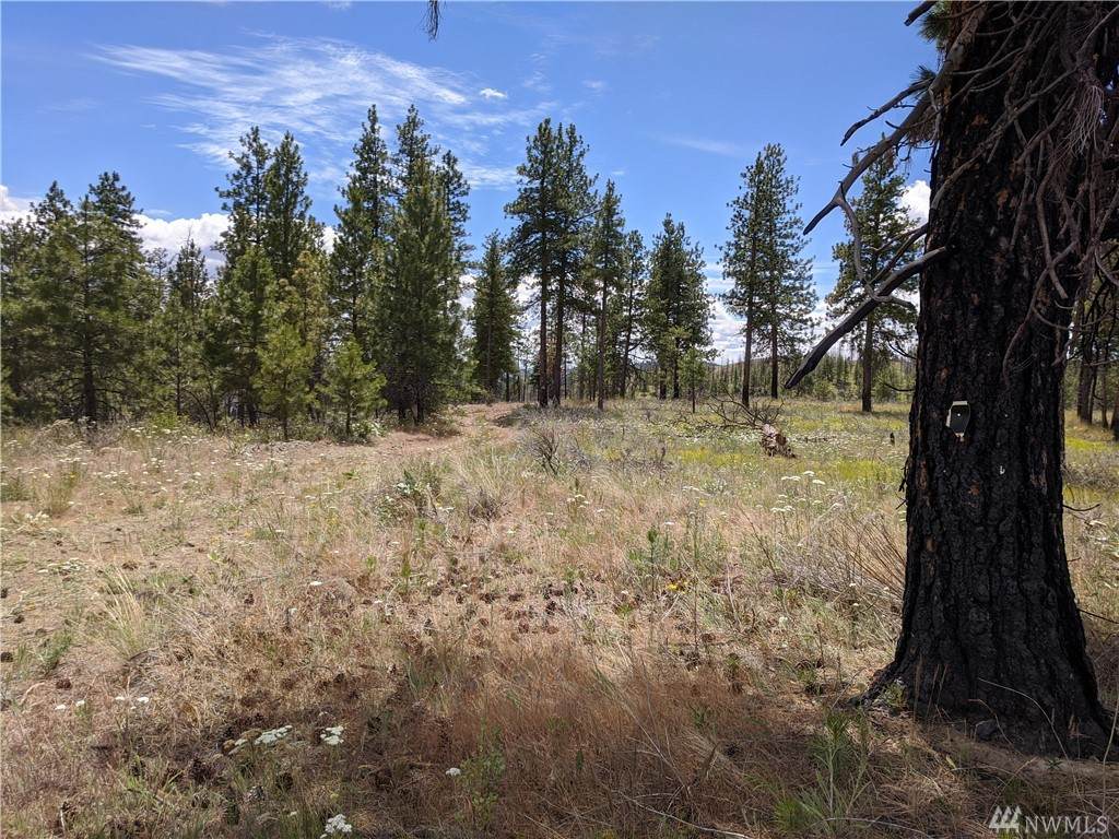 0 Evergreen Camp Road - Photo 1