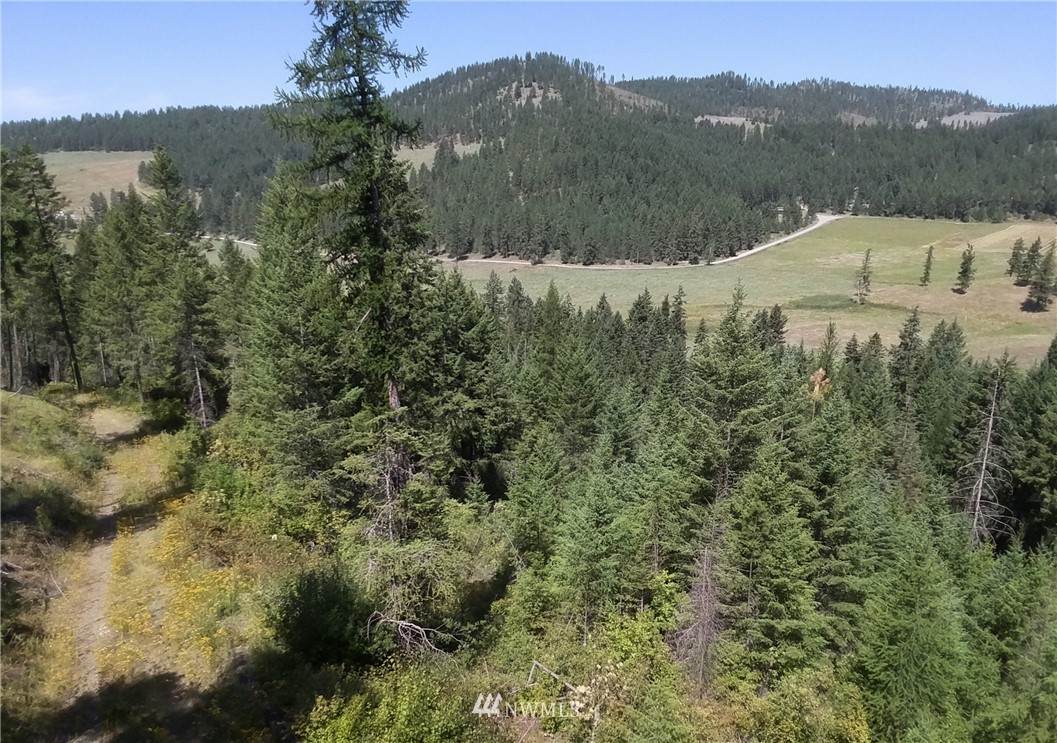 0 Daisy Mine Road - Photo 1