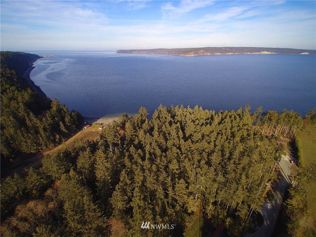 480 Daisy King Road - Photo 1