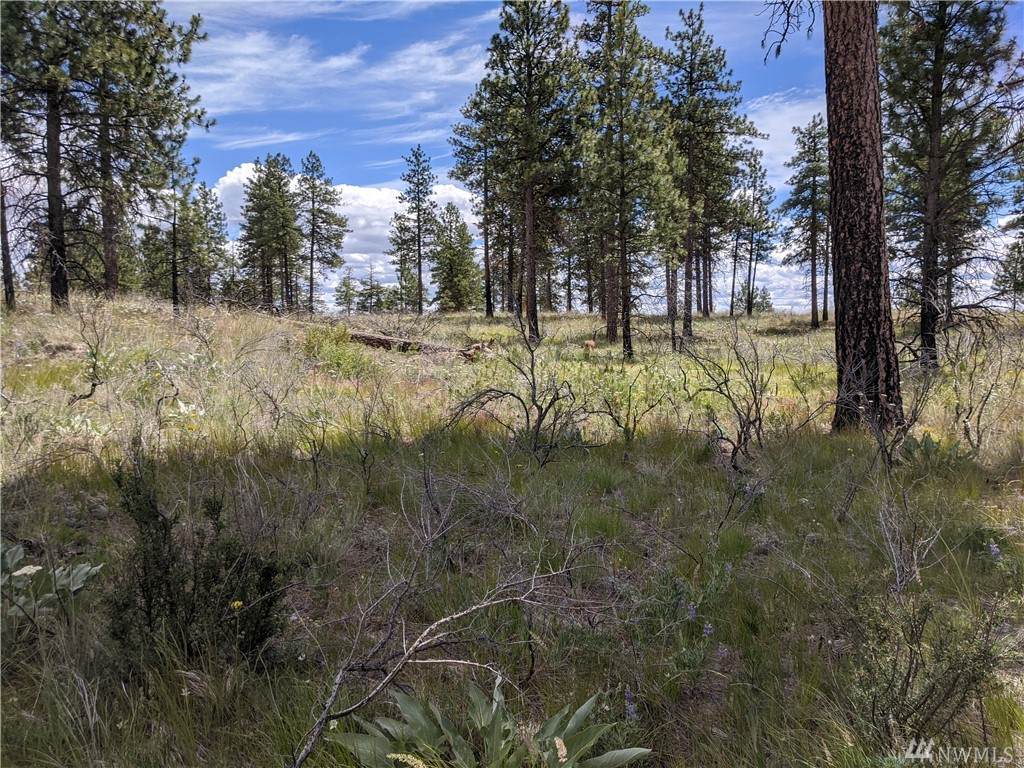 0 Evergreen Camp Road - Photo 1