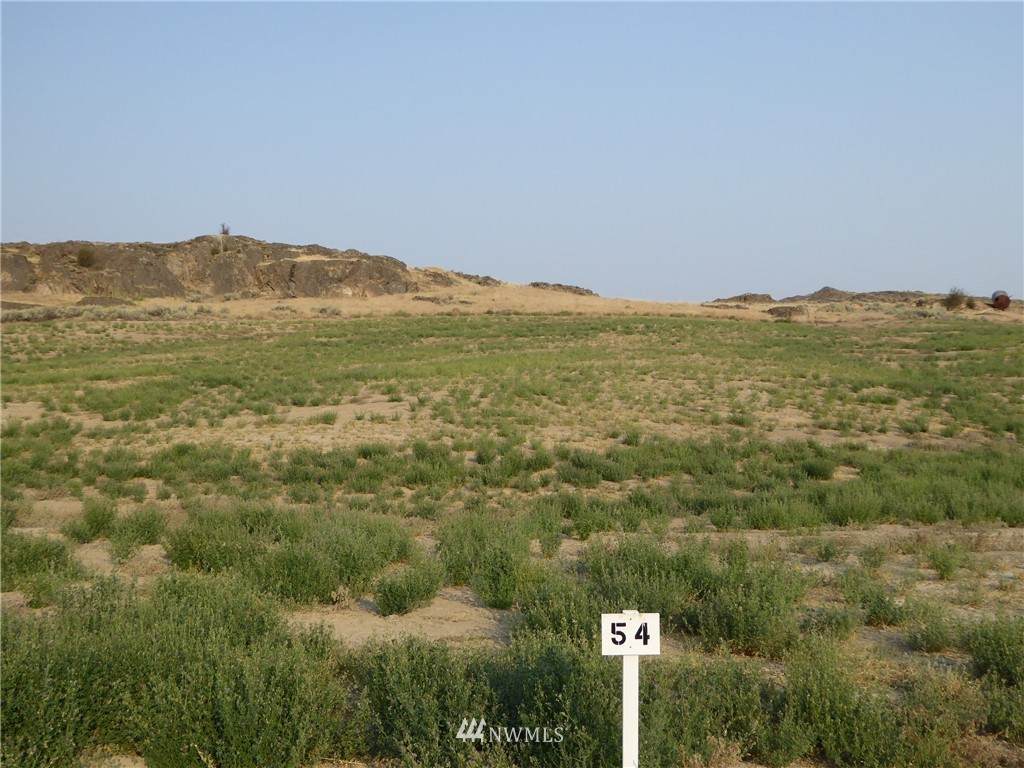 55926 Bay Area Drive - Photo 1
