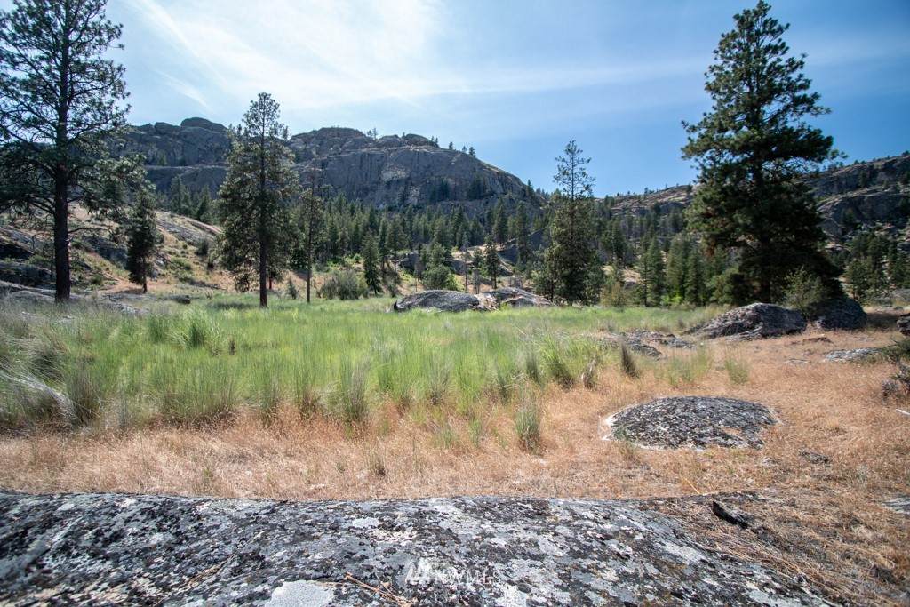 322 North End Omak Lake Road - Photo 1