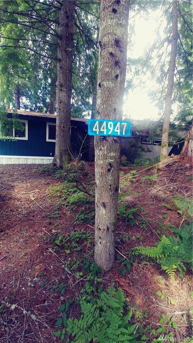 44947 Kyuquot Trail - Photo 1