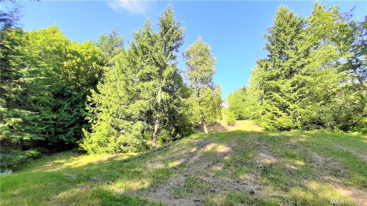 9999 Fox Hollow Rd - Photo 1