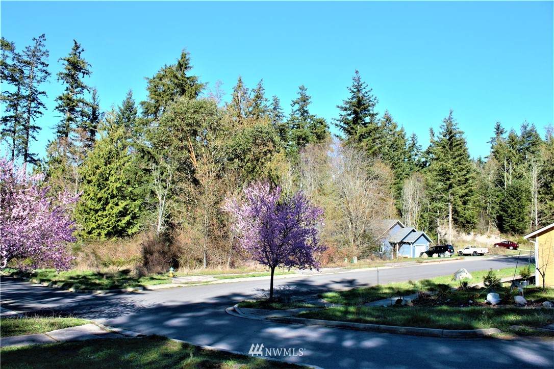 9999 Eddy Street - Photo 1