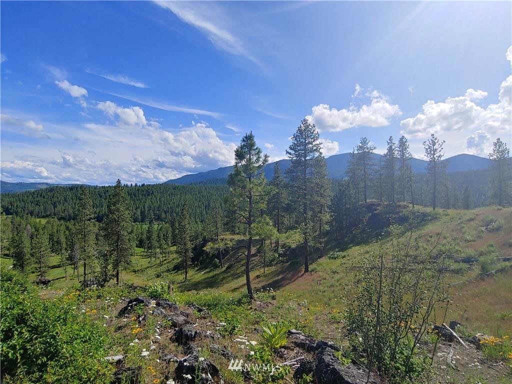 6 Marble Valley Basin Road - Photo 1