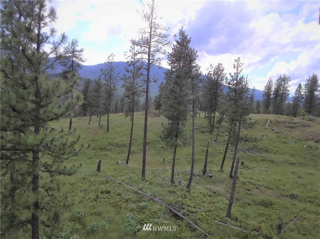 3 Marble Valley Basin Road - Photo 1