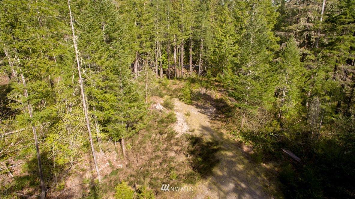 1 Lodgepole Lane - Photo 1