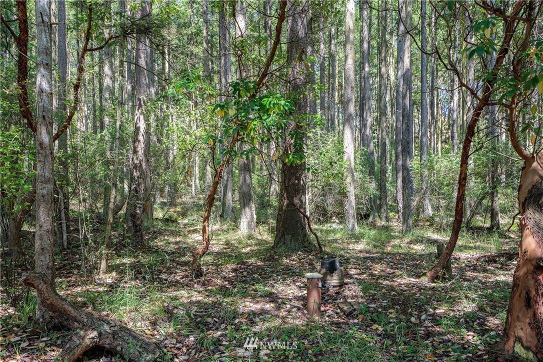 4057 Mud Bay Road - Photo 1