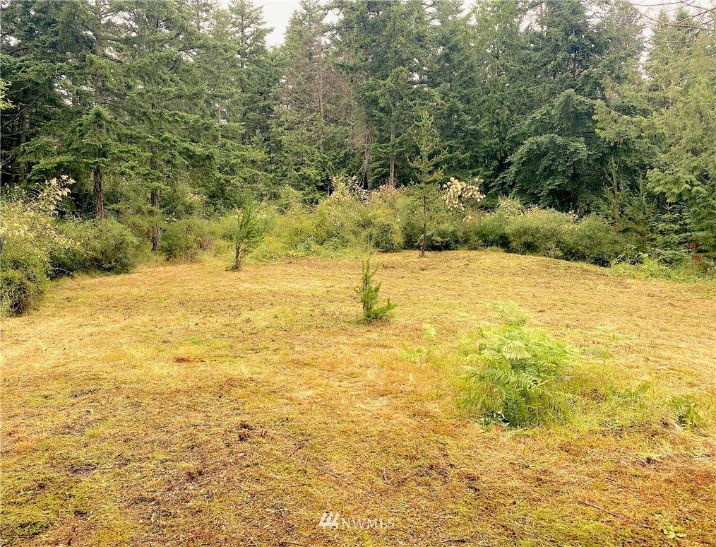 0 Pheasant Lane - Photo 1