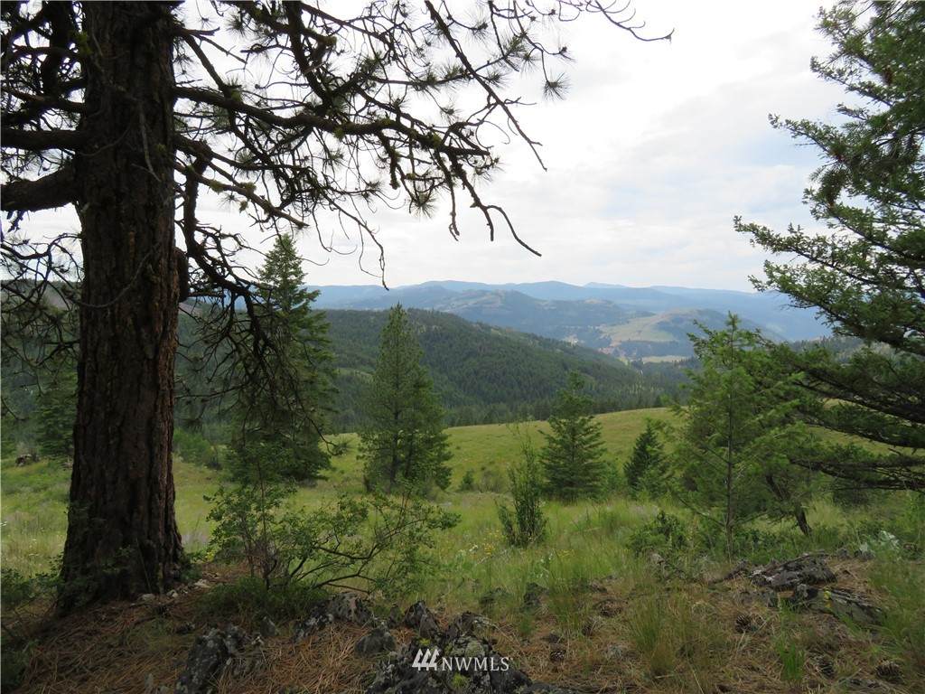 0 Two Sisters Way - Photo 1