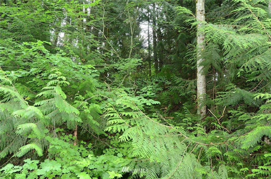 0 Lakeside Drive - Photo 1