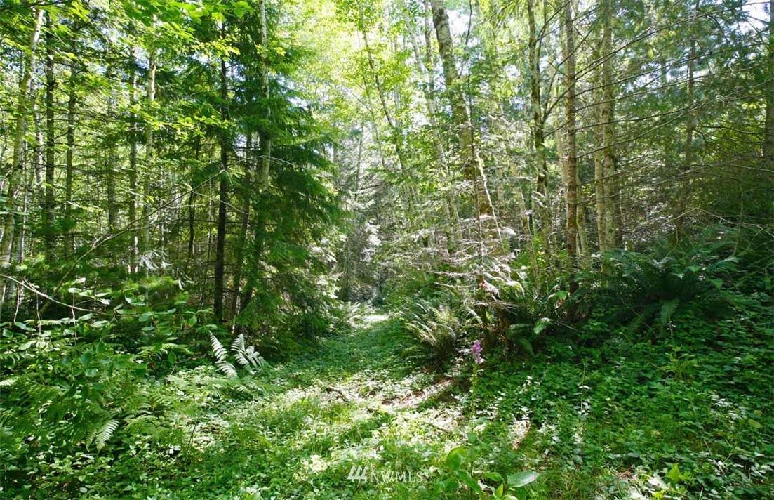 0 Stavis Bay Road - Photo 1