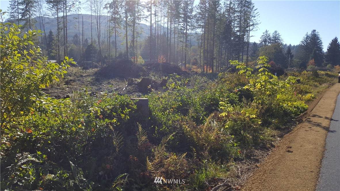 0 Upper Naselle Road - Photo 1