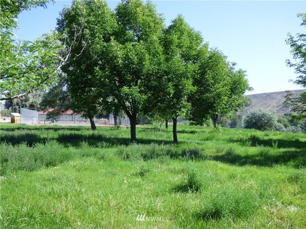 0 Monse River Road - Photo 1