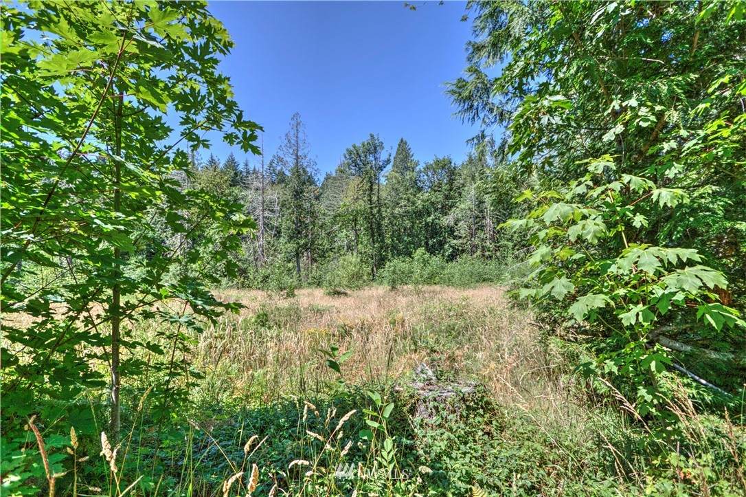 58 Miller Road - Photo 1