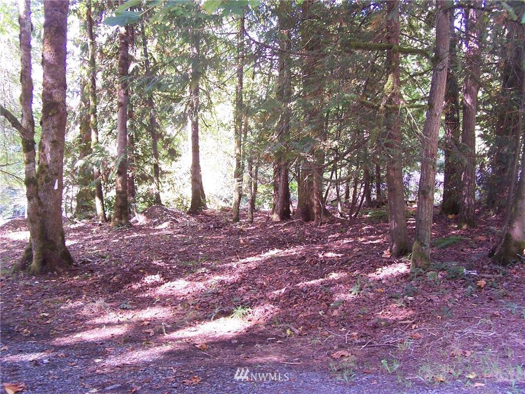 0 Redmond Fall City Road - Photo 1