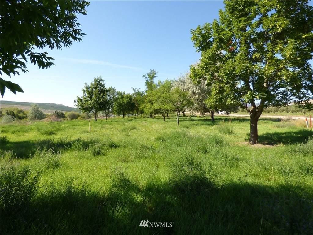 0 Monse River Road - Photo 1