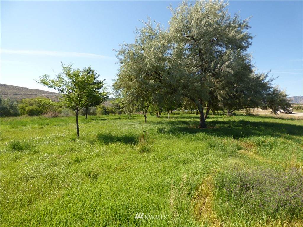 0 Monse River Road - Photo 1