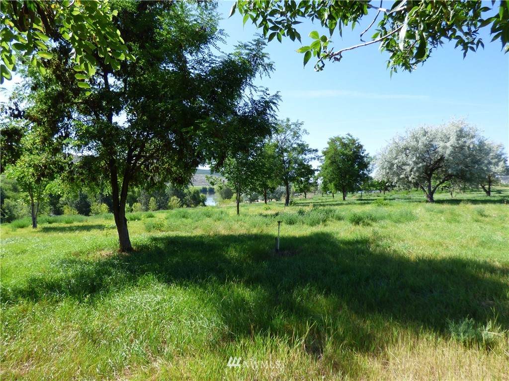 0 Monse River Road - Photo 1