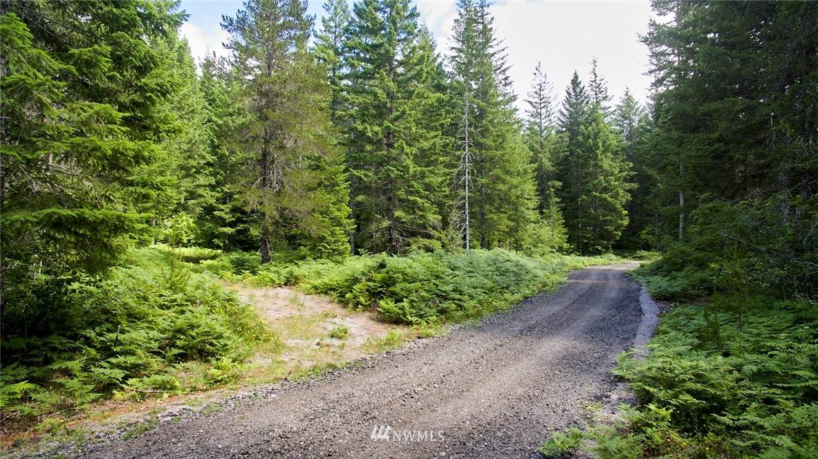 0 Lahar Lane - Photo 1