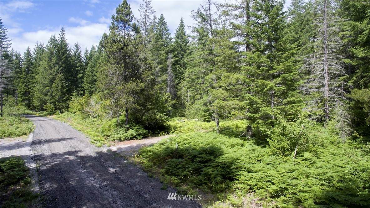 0 Lahar Lane - Photo 1