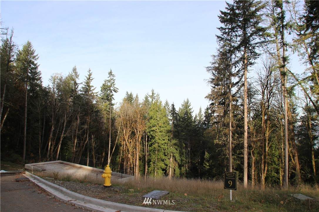 17845 Cougar Mountain Drive - Photo 1