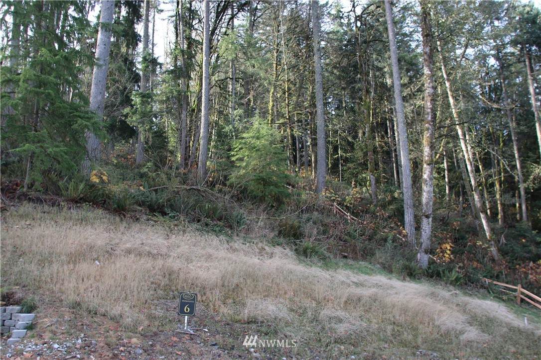 17845 Cougar Mountain Drive - Photo 1