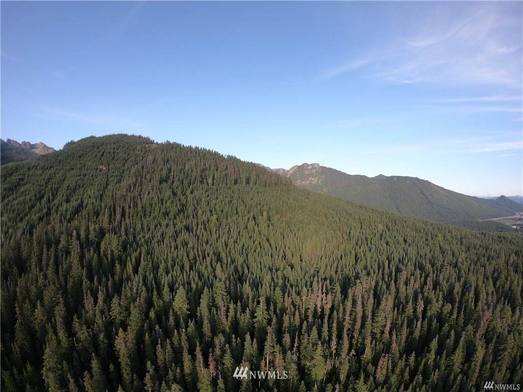 12 Yellowstone - Photo 1