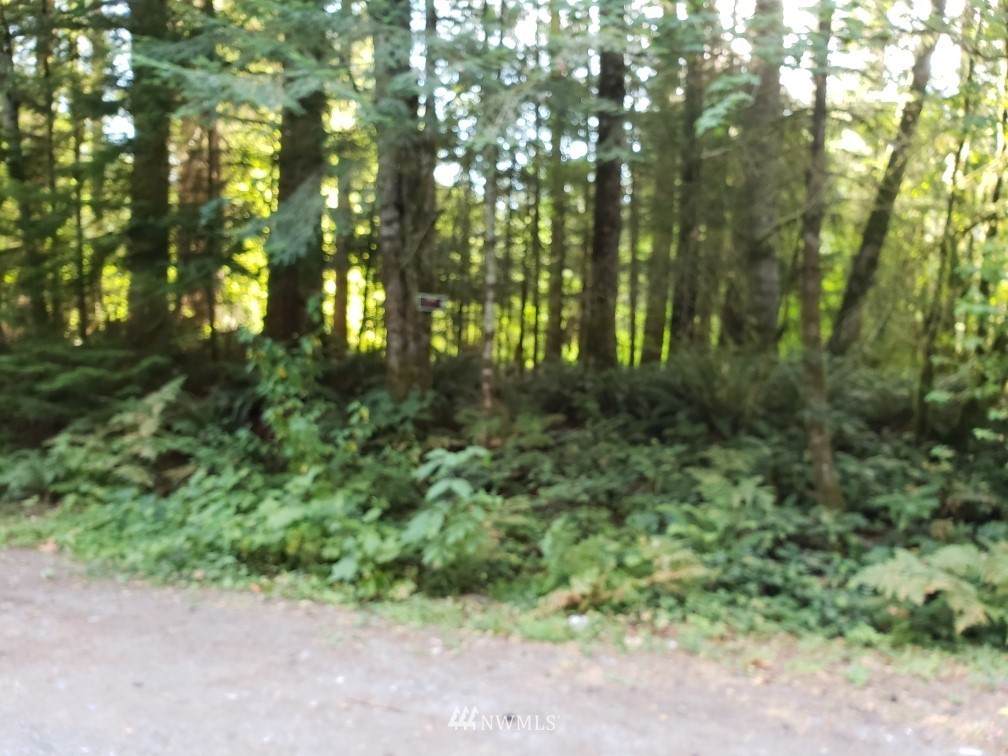 55215 313th Avenue - Photo 1
