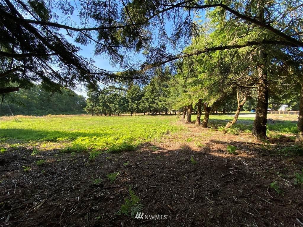11 Shamrock Way - Photo 1