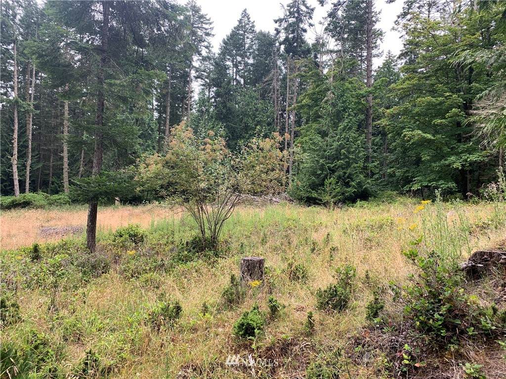 0 Shaw Island - Photo 1