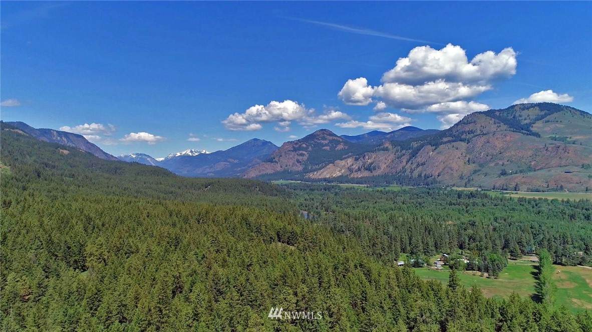 375 Wolf Creek Road - Photo 1