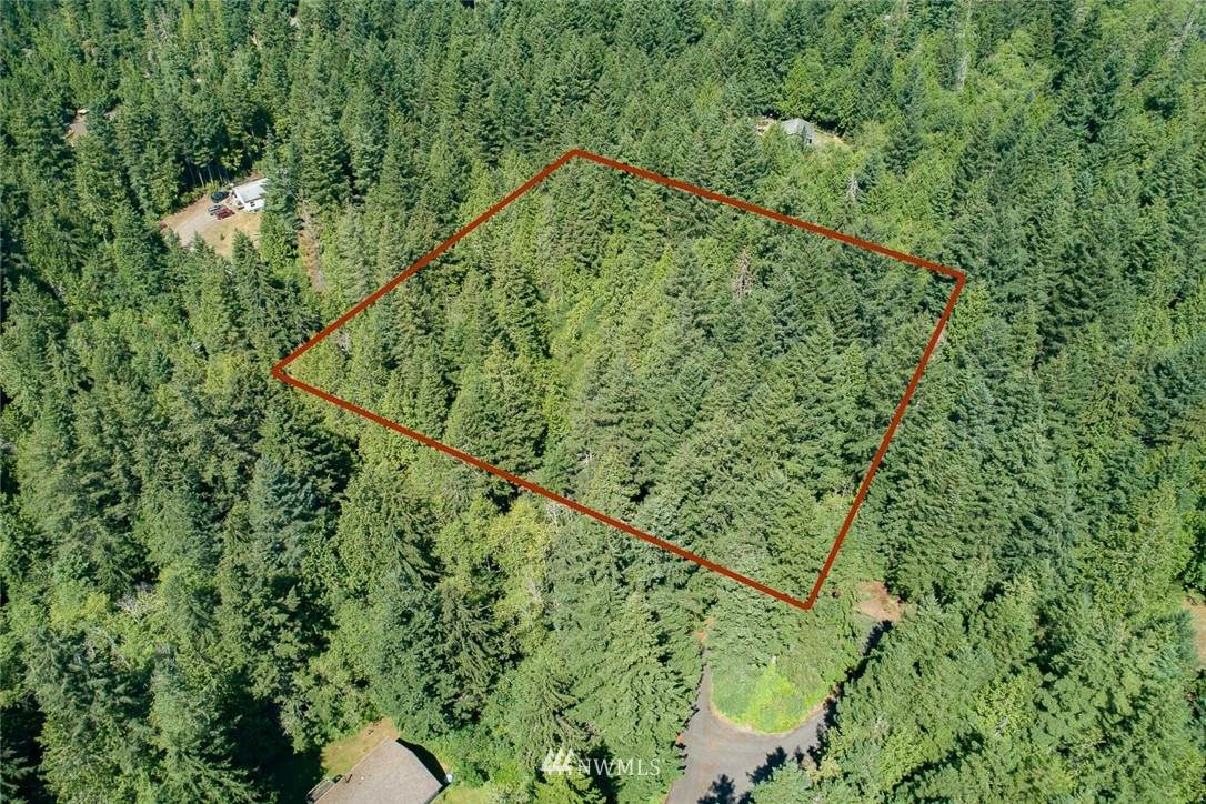 4665 Shady Hollow Lane - Photo 1