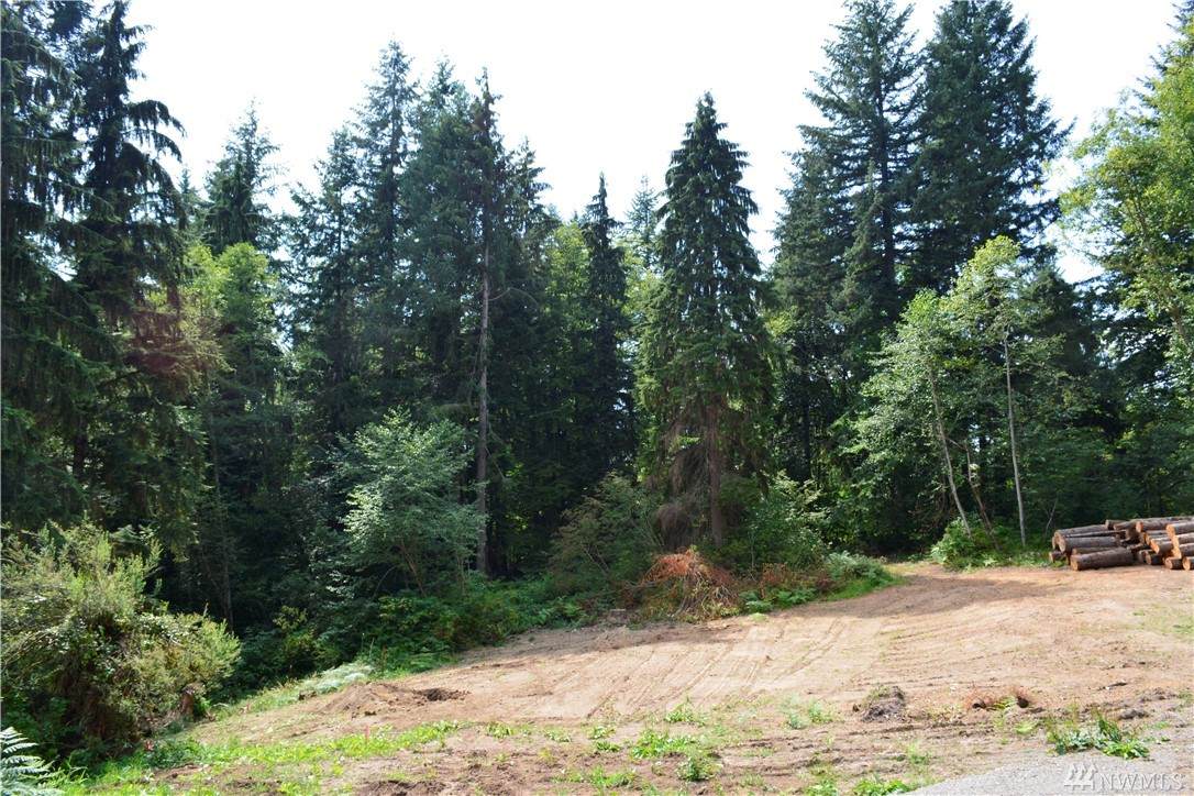 13116 179th Avenue - Photo 1