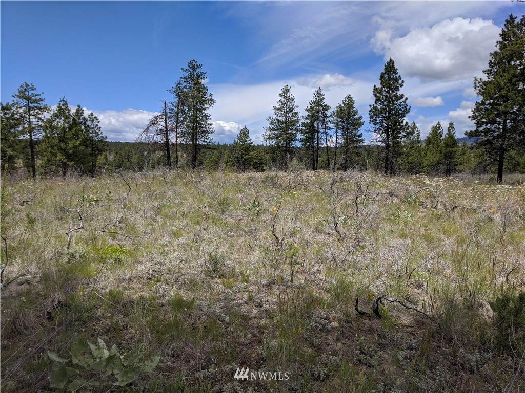 0 Evergreen Camp Road - Photo 1