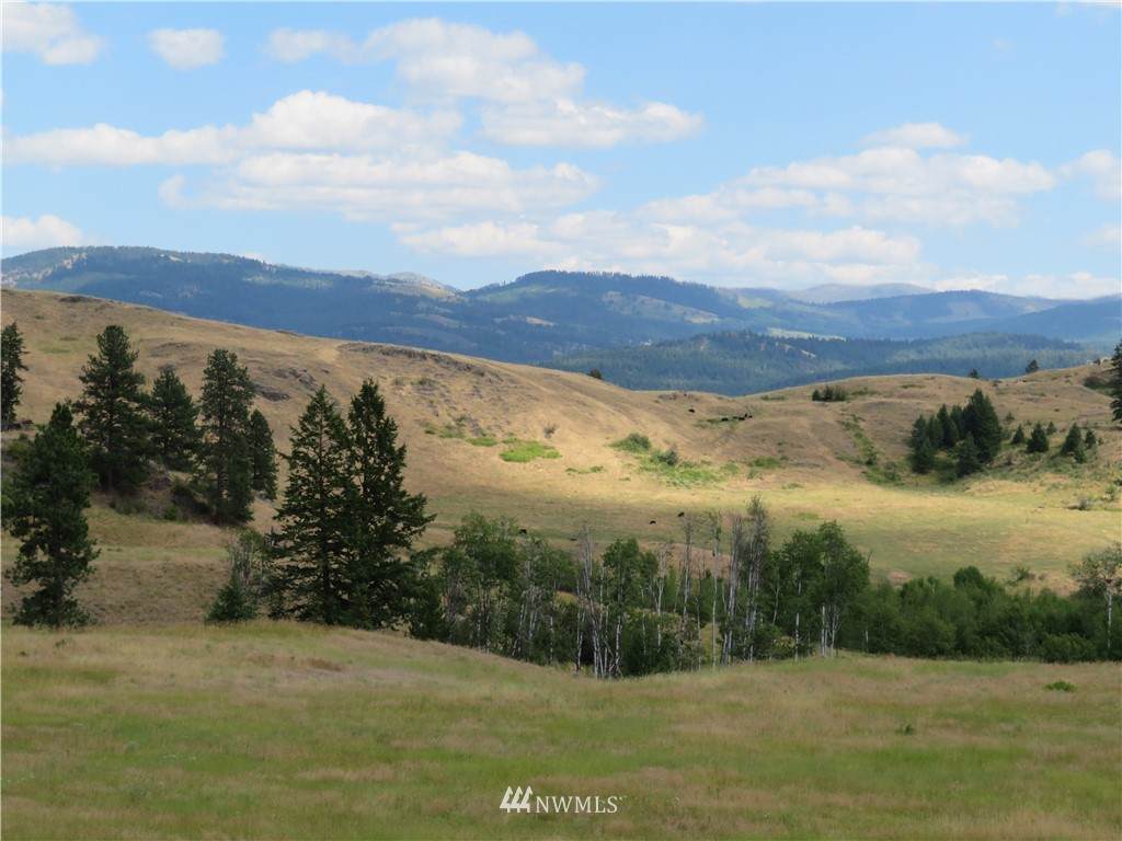 0 Vulcan Mountain Road - Photo 1