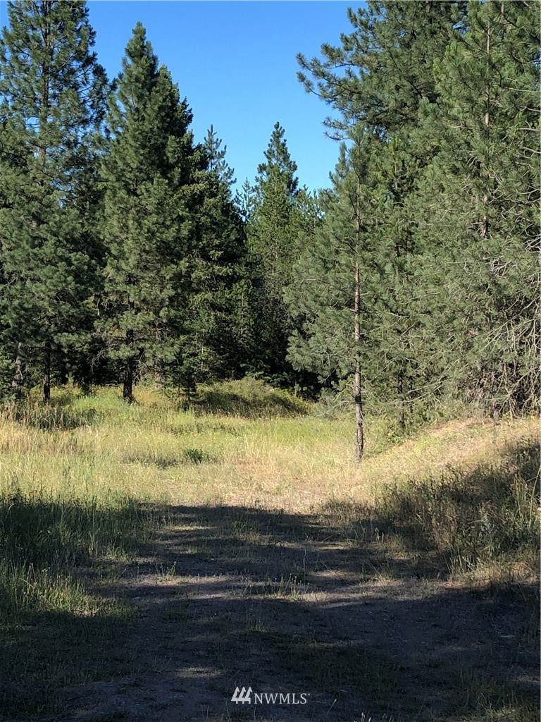 4028 Lumberg Road - Photo 1