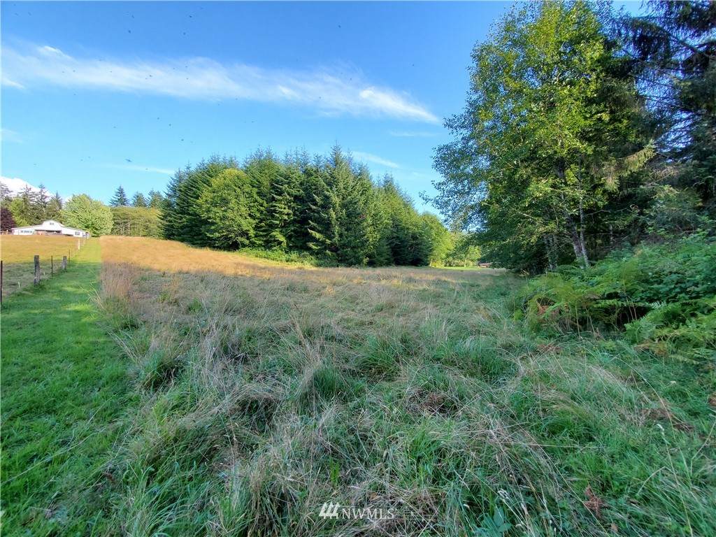 9999 Highway 101 Parcel B - Photo 1