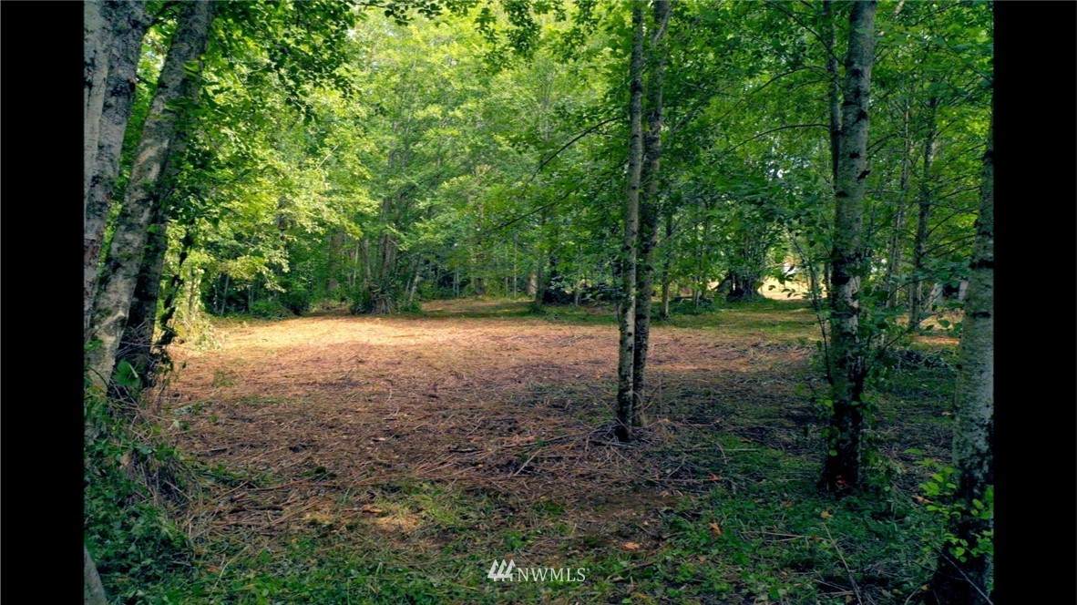 306 Horton Road - Photo 1