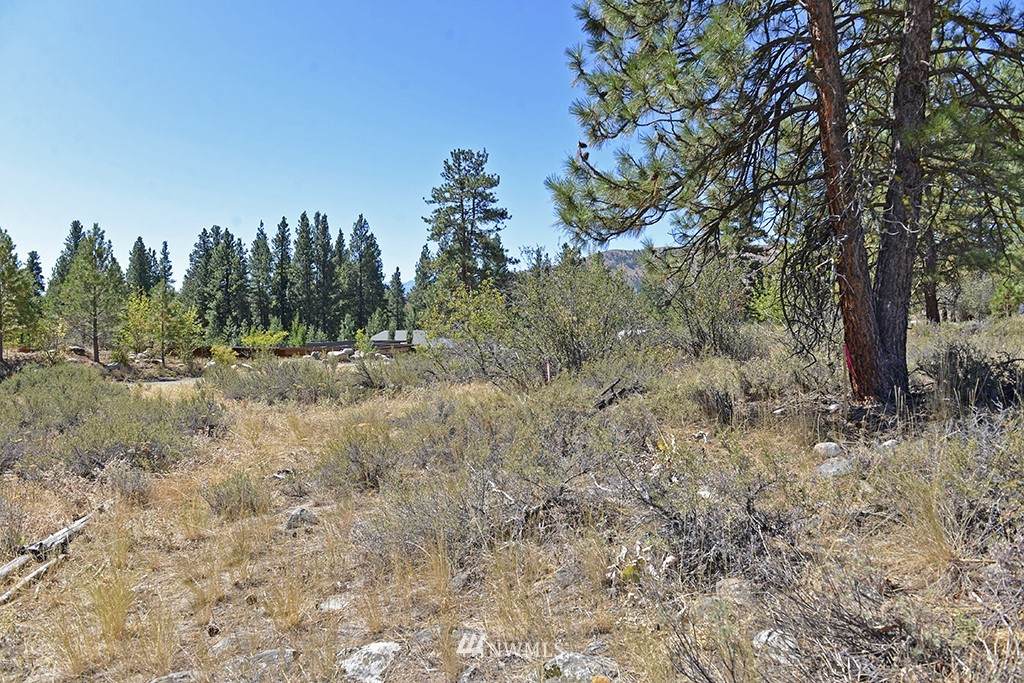 25 Pine Loop - Photo 1