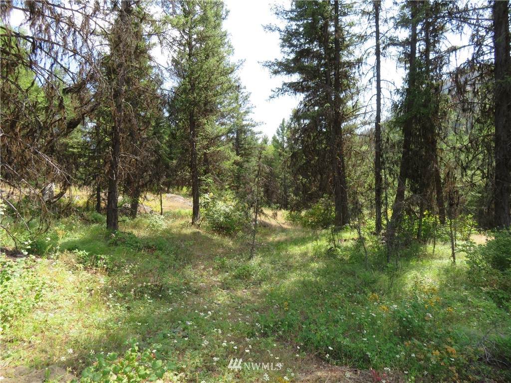0 Bamber Creek Road - Photo 1