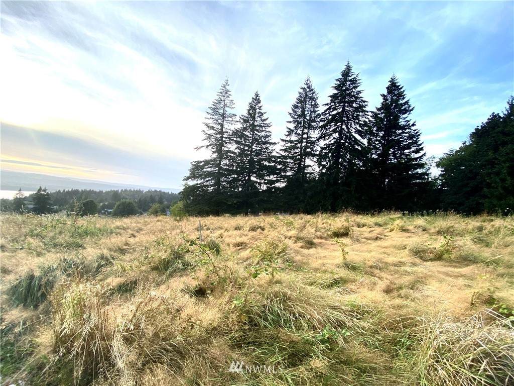 133 Jade Road - Photo 1