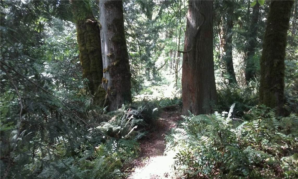 0 196th Avenue - Photo 1